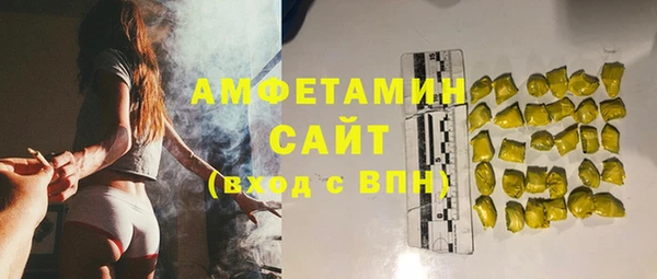 прущие грибы Вяземский