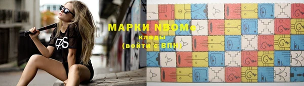 прущие грибы Вяземский