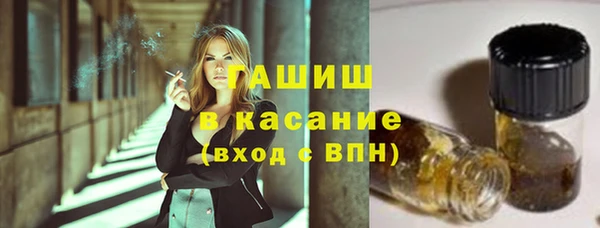 прущие грибы Вяземский