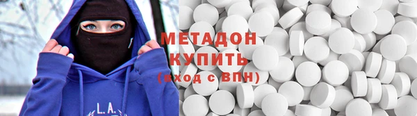 прущие грибы Вяземский