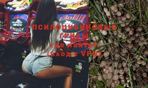 прущие грибы Вяземский