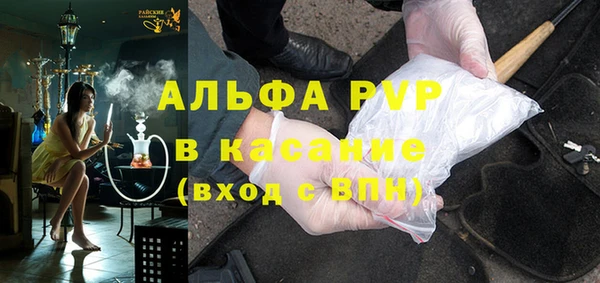 прущие грибы Вяземский