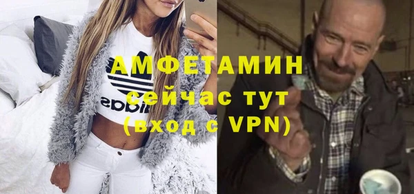 прущие грибы Вяземский