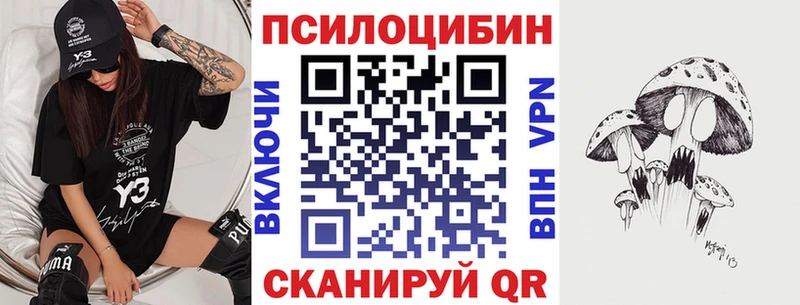 Псилоцибиновые грибы Cubensis Коммунар